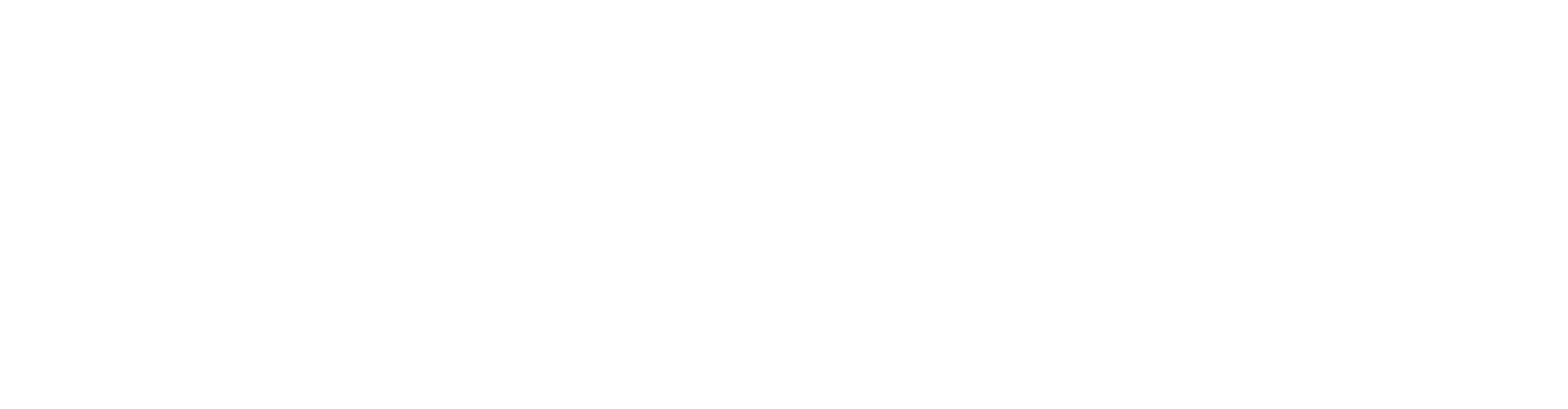 Flipeer logo
